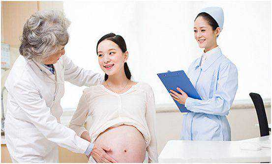 上海借腹生子助孕，上海试管生子助孕费用多少？