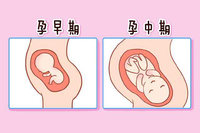 上海哪家三甲医院做三代试管婴儿的技术最好？