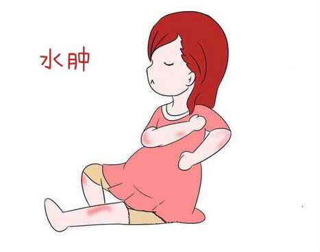 上海助孕公司品质，上海世纪助孕公司在哪里？靠谱吗？