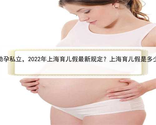 上海助孕私立，2022年上海育儿假最新规定？上海育儿假是多少天？