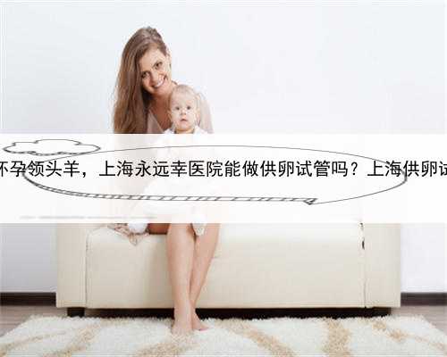 上海代怀孕领头羊，上海永远幸医院能做供卵试管吗？上海供卵试管详情