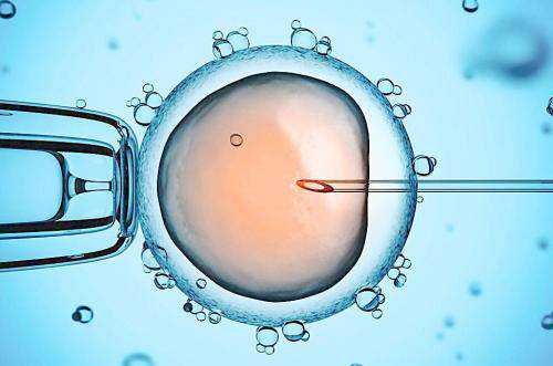 长沙做试管供卵违法吗，2022年长沙哪家医院可以做供卵试管婴儿