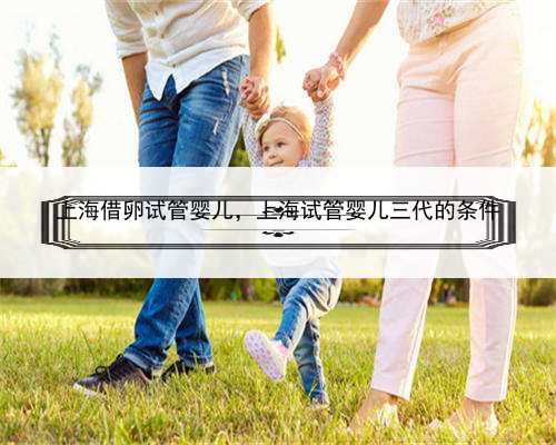 上海借卵试管婴儿，上海试管婴儿三代的条件