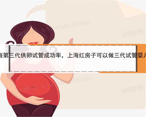 上海第三代供卵试管成功率，上海红房子可以做三代试管婴儿吗