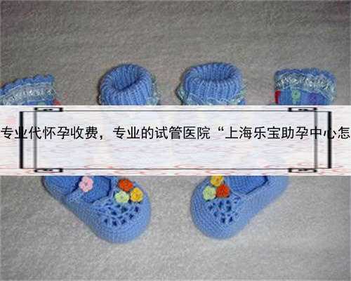 上海专业代怀孕收费，专业的试管医院“上海乐宝助孕中心怎样”